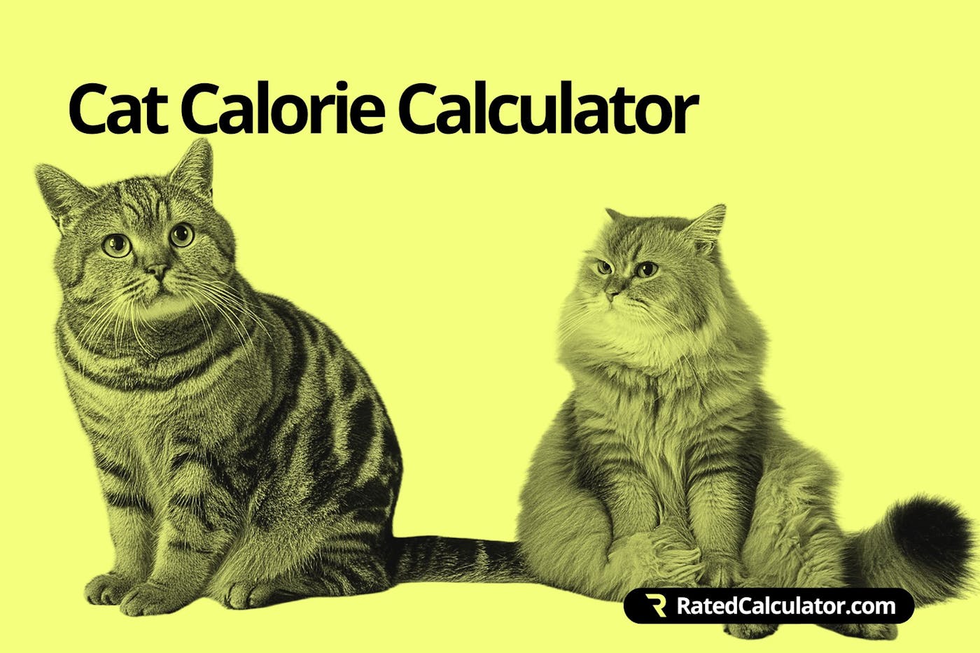 How to use the Cat Calorie Calculator