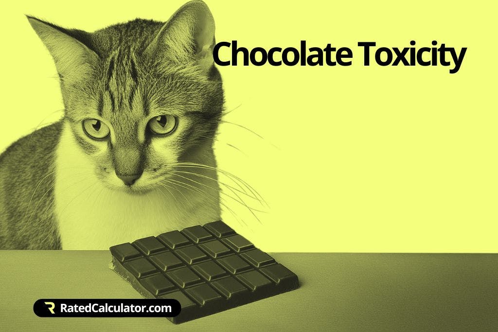 How to use the Cat Chocolate Toxicity Calculator