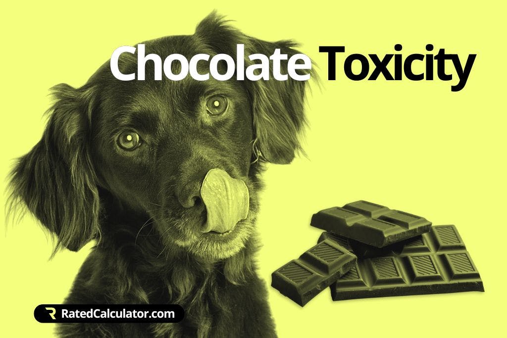 How to use the Dog Chocolate Toxicity Calculator
