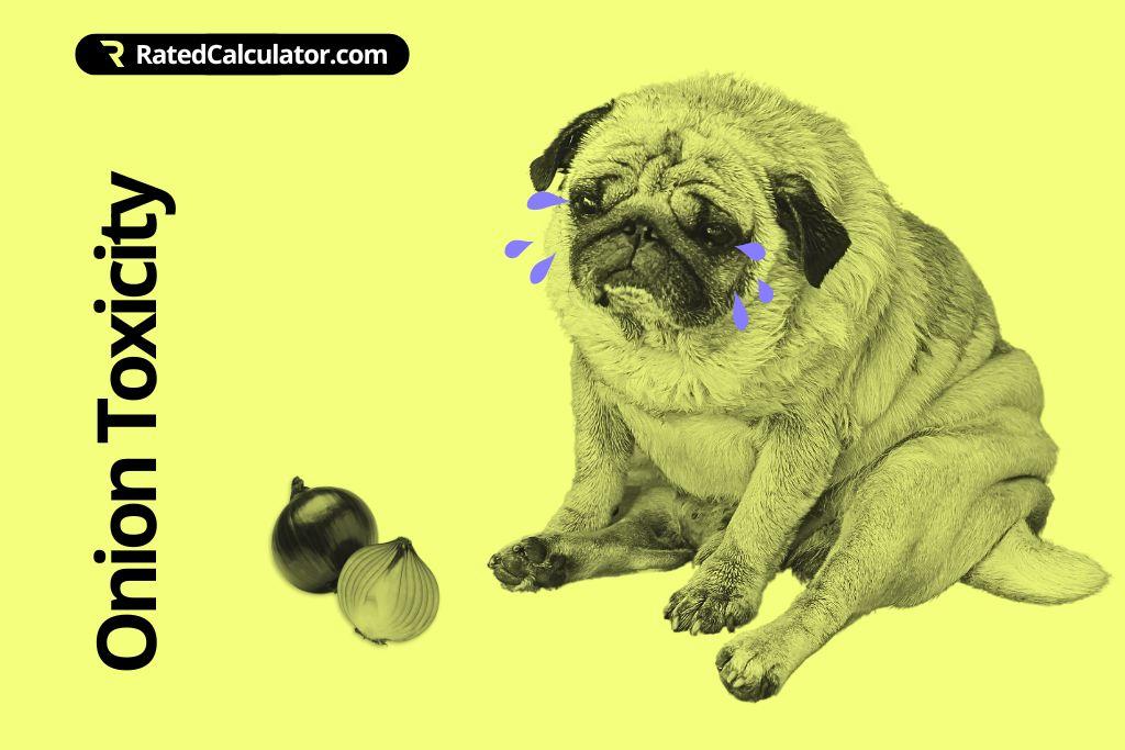 How to use the Dog Onion Toxicity Calculator