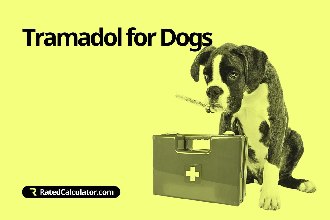 How to use the Tramadol for Dogs Calculator